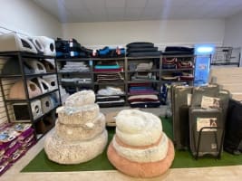 Northam's Only Pet Store For Sale