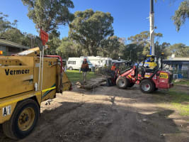 Two Long-Established Arborist Businesses with Strong Cashflow & Major Contracts