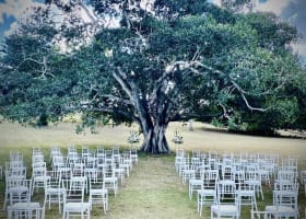 Qft3yzmanm8jrdh2n0oy