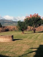 Freehold licensed Cafe / Restaurant with lifestyle