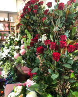 Oakleighs Iconic Florist Nursery Business for Sale SV1585