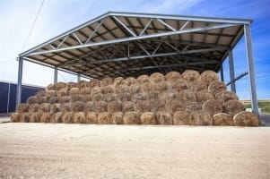 CQ Sheds and Concrete - Unlocking the Power of Ran!