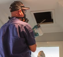 SURE Pest Control Franchises – Perth, WA