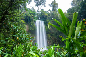 BUSINESS FOR SALE: FAR NORTH ESCAPES - PREMIER ADVENTURE TOUR OPERATOR IN FAR NORTH QUEENSLAND – ...