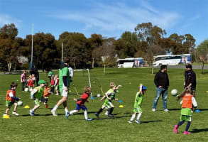 Grasshopper Soccer - Established Business