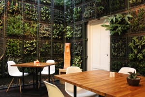 Busy Burger Takeaway with 15k Weekly Sales, New Fit-out [2509141]