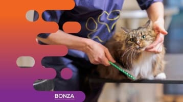 Qokyln6zcyy9cy4dq4nr