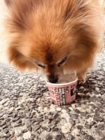 Wollongong Beach Cafe