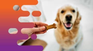 Qouynepb5diqaoezcvup