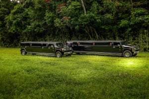 SUCCESSFUL STRETCH HUMMER HIRE (limousine) BUSINESS - CAIRNS/PORT DOUGLAS REGION