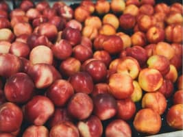 Profitable Fruit & Veg Shop in a Hot Location