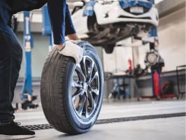 Award Winning Motor Mechanic - Sydney Inner West