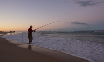 Absolute Beachfront Management Rights - Surfers Paradise Icon | Resort Brokers ID : MR009253