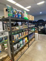 Northam's Only Pet Store For Sale