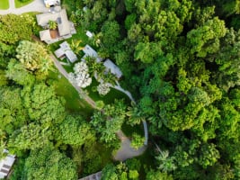 Daintree Rainforest Luxe Eco Lodge For Sale