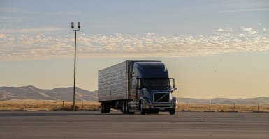 Transport & Logistics Business for Sale – Strong Client Base, High Growth Potential [2410183A]