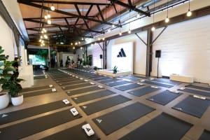 Two Ton Max - Brand-new long-term lease of 15 years (5+5+5)