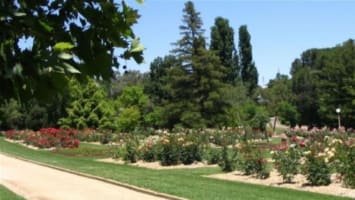 Specialist boutique Strata Management agency in Wagga Wagga