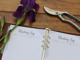 Gardening Gift Box Business – National Online Opportunity