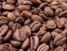 Renowned Cafe - In Woolworths Complex - Long Secure Lease