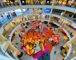 Qyooqmtqpvjq4vafz1dd