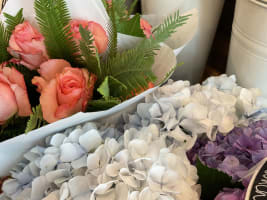 Established Florist & Giftware Business WIWO