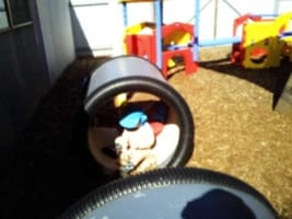 NOT JUST A BUSINESS BUT A CASUAL WAY OF LIFE! -  INCLUDES RESIDENCE & BUSINESS!