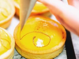 R22oci9wi3xfgpcsauor