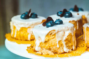 Freehold Cake Manufacturer. Wholesale Only with Supply Agreement. Located in Brisbane.