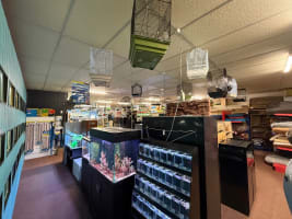 Retail Pet Supplies Business – Tamworth, NSW
