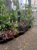 ​Cafe, located in Kingsgrove, operates six days a week.