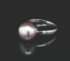 Discover a Hidden Gem