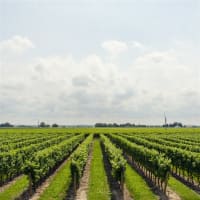 R9milh9te6jorrssrwu2