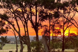 Grampians Lifestyle Resort Opportunity – 40 Acres of Bushland with Diverse Accommodation and Sign...