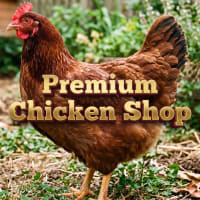 Premium Chicken Shop and Takeaway 5893