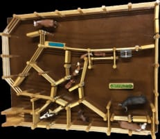 Country Toys - Australian Owned Self-Rewarding Business - Online Sales