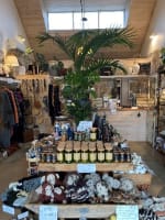 Agave Design & Living - Established Retail Business in Hahndorf - Under Contract