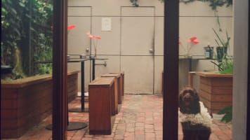 Uncle Joe's Wine Bar