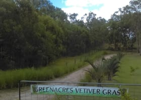 NATURES ENGINEERING WONDER PLANT