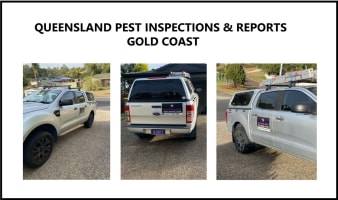 Queensland Pest Inspections & Reports Gold Coast
