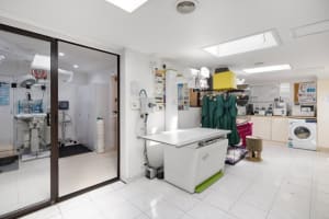 HIGHlands Veterinary Hospital –Southern Highlands NSW