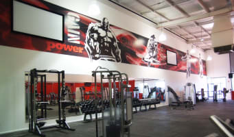 ONLINE BUSINESS FOR SALE Well-established and systemised.