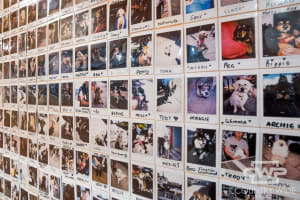 Open To Reasonable Offers