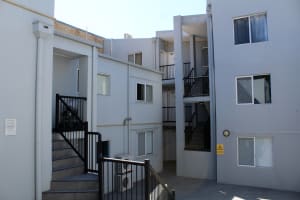 Management Rights Business in the Heart of Kelvin Grove