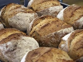 Rl6fbl6xnmcyhv3q7fsa