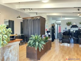 Vibrant Hair Salon in heart of Cowes