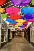 Rlykwekn5zwrynpidhjo