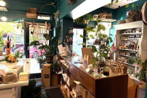 LEASEHOLD - Seed & Bloom Flower Store, Wangaratta - 1P0586