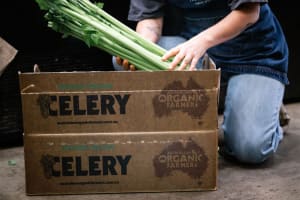 Thriving Organic Grocery Store Opportunity on the Mornington Peninsula