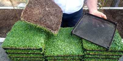 Rsuk3wkdj8eesxtnq9sa